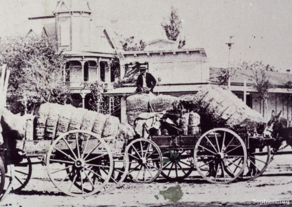  Cotton wagons on Main Plaza in front of Joseph Landa store and home, circa 1900.