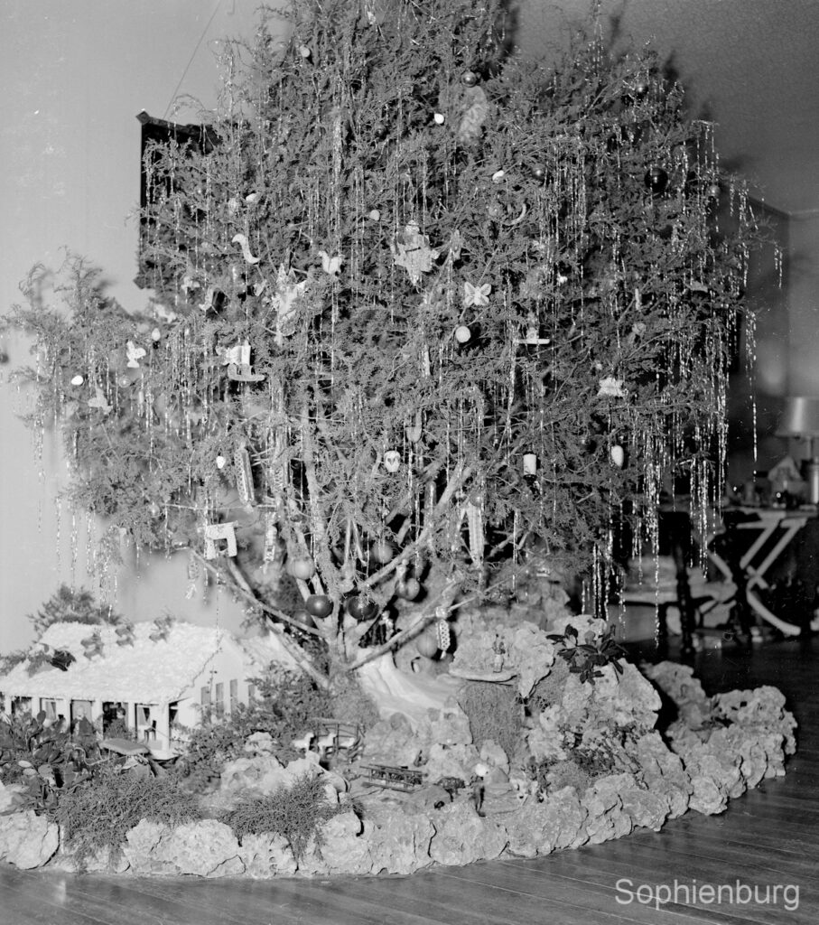 Photo: The Timmermann Christmas tree and nativity scene in 1948. The Waissenhaus is on the left. (S481-014_3)