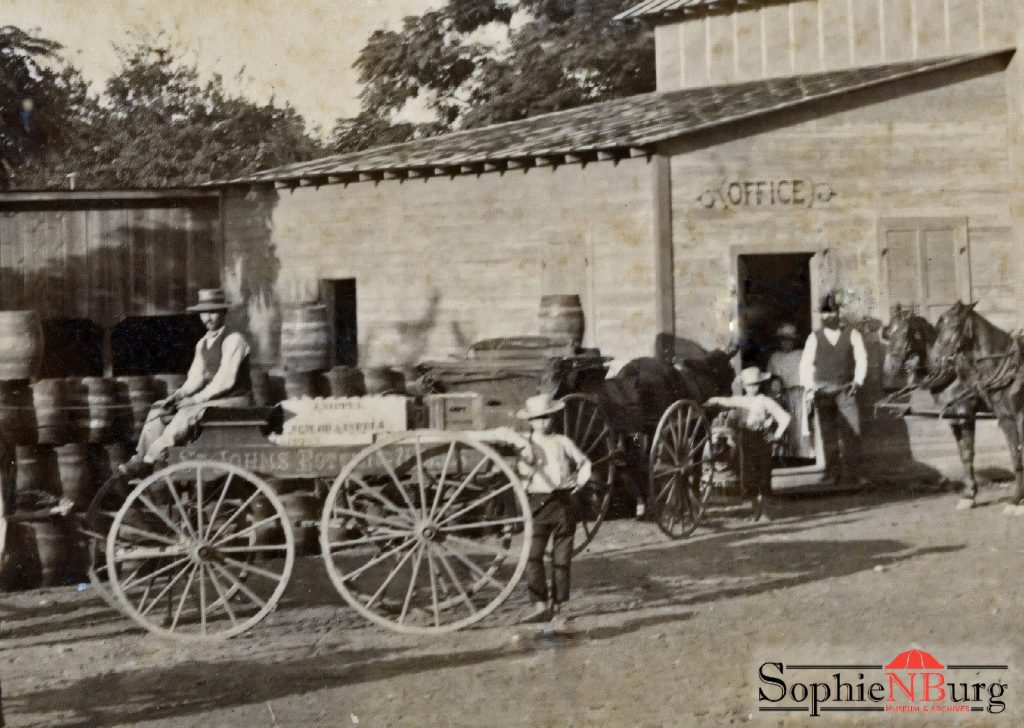 Photo: Detail of a photo of Sippel's St. John Bottling Works and Anheuser-Busch Distributing, c. 1886. Boy in center is Henry Sippel who was killed in Houston. Boy next on the right is Dick Ernest Sippel and the man with the full dark beard is John Sippel.